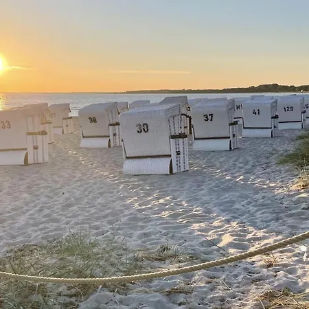 Strandflieder 211 Privatunterkunft *